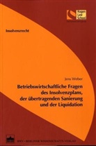 Jens Weber - Betriebswirtschaftliche Fragen des Insolvenzplans, der übertragenden Sanierung und der Liquidation
