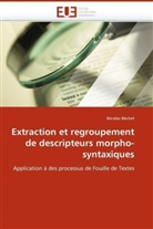 Nicolas Béchet, Bechet-N - Extraction et regroupement de