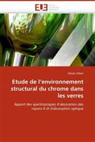 Olivier Villain, Villain-O - Etude de l environnement