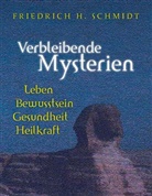 Friedrich Schmidt - Verbleibende Mysterien