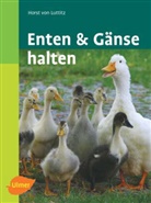 Horst Luttitz, Horst von Luttitz, Horst von (Freiherr) Luttitz - Enten und Gänse halten