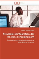 Ngamo-S, Salomon Tchameni Ngamo - Strategies d integration des tic