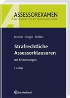 Leander Brößler, Raimund Brunner, Klaus Gregor - Strafrechtliche Assessorklausuren mit Erläuterungen