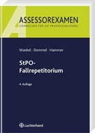 Ingrid Demmel, Michael Hammer, Bernhard Wankel - StPO-Fallrepetitorium