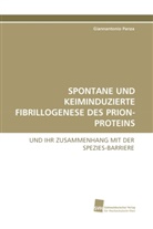 Giannantonio Panza - SPONTANE UND KEIMINDUZIERTE FIBRILLOGENESE DES PRION-PROTEINS