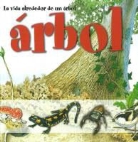 Ferruccio Cucchiarini, Feruccio Cucciarini - vida alrededor de un &aacute;rbol