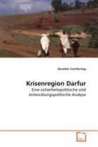 Benedikt Gamillscheg - Krisenregion Darfur