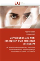 Mauric Bétemps, Maurice Bétemps, Tanne Redarce, Tanneguy Redarce, Guillaum Thomann, Guillaume Thomann - Contribution a la mis: conception