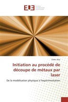 Cédric Mas, Mas-c - Initiation au procede de decoupe
