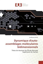 Guillaume Schull, Schull-g - Dynamique d auto assemblages