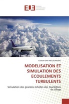 Cristian-Emil Moldoveanu - MODELISATION ET SIMULATION DES ECOULEMENTS TURBULENTS