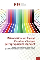 Nicolas Roduit, Roduit-n - Jmicrovision: un logiciel d