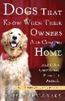 Rupert Sheldrake - Dogs That Know When Their Owners Are Coming Home