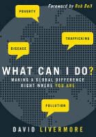 David Livermore - What Can I Do?: Making a Global Difference Right Where You Are