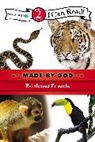 Zondervan, Zondervan, Zondervan Publishing, Zondervan Publishing House (COR) - Rainforest Friends