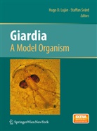 Hug D Lujan, Hugo D Lujan, Hugo D. Lujan, Svärd, Svärd, Staffan Svärd - Giardia