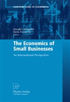 Giorgi Calcagnini, Giorgio Calcagnini, Favaretto, Favaretto, Ilario Favaretto - The Economics of Small Businesses