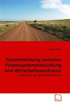 Marcel Kruse - Zusammenhang zwischen Finanzsystementwicklung und Wirtschaftswachstum