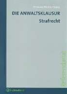 Julia Riemann-Prehm, Julian Riemann-Prehm, Martin Soyka - Die Anwaltsklausur - Strafrecht
