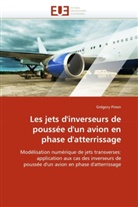 Gregory Pinon, Grégory Pinon, Grgory Pinon - Les jets d'inverseurs de poussée d'un avion en phase d'atterrissage