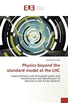 Emmanuel Turlay, Turlay-E - Physics beyond the standard model