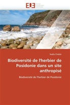Nadia Chebbi, Chebbi-N - Biodiversite de l herbier de