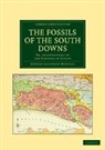 Gideon Algernon Mantell - Fossils of the South Downs