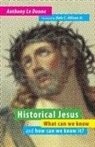 Anthony Le Donne - Historical Jesus