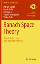 Mariá Fabian, Marián Fabian, Pet Habala, Petr Habala, Petr Hájek, Petr et al Hájek... - Banach Space Theory