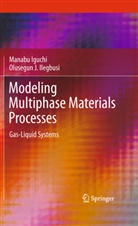 Manab Iguchi, Manabu Iguchi, Olusegun J Ilegbusi, Olusegun J. Ilegbusi - Modeling Multiphase Materials Processes