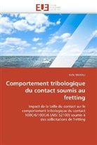 Rafic Merhej, Merhej-R - Comportement tribologique du