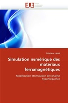 Stéphane Labbé, Labbe-S - Simulation numerique des