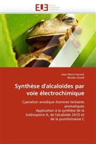 COLLECTIF, Nicolas Girard, Jean-Pierr Hurvois, Jean-Pierre Hurvois - Synthese d alcaloides par voie