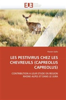 Flavien Gallo, Gallo-F - Les pestivirus chez les