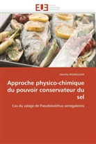 Marthe Nganguem, Nganguem-M - Approche physico chimique du