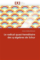 Ammar Seddiq Mahmood, Mahmood-A - Le radical quasi hereditaire des