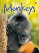 Lucy Bowman, Lucy Bowmen, Jenny Cooper, Sue King - Monkeys