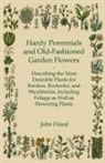 John Wood - Hardy Perennials and Old-Fashioned Garden Flowers;Describing the Most Desirable Plants for Borders, Rockeries, and Shrubberies, Including Foliage as Well as Flowering Plants