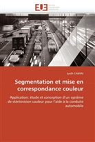 Iyadh Cabani, Cabani-I - Segmentation et mise en