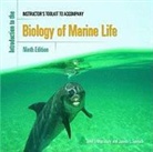 Morrissey - Introduction to the Biology of Marine Life