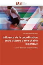 Juan Pedro Sepúlveda Rojas, Sepulveda Rojas-J - Influence de la coordination