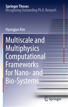 Hyungjun Kim - Multiscale and Multiphysics Computational Frameworks for Nano- and Bio-Systems