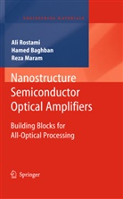 Hame Baghban, Hamed Baghban, Reza Maram, Al Rostami, Ali Rostami - Nanostructure Semiconductor Optical Amplifiers