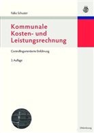 Falko Schuster - Kommunale Kosten- und Leistungsrechnung