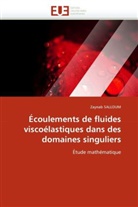 Zaynab Salloum, Salloum-Z - Ecoulements de fluides