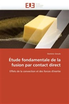 Dominic Groulx, Groulx-D - Etude fondamentale de la fusion