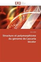Jessy Labbé, Labbe-J - Structure et polymorphisme du