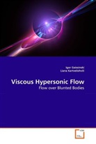Igo Gaissinski, Igor Gaissinski, Liana Kartvelishvili - Viscous Hypersonic Flow