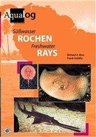 Richard A Ross, Richard A. Ross, Frank Schäfer - Süsswasser Rochen /Freshwater Rays