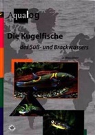 Klaus Ebert - Die Kugelfische des Süß- und Brackwassers